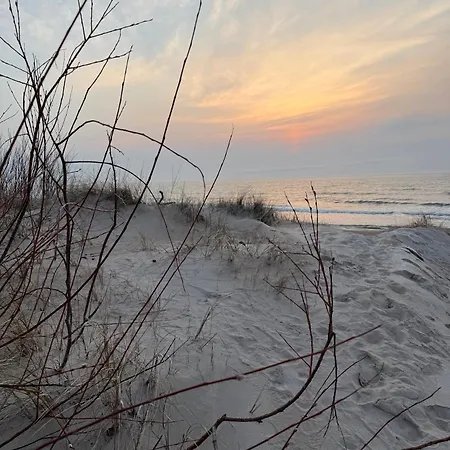 In The Dunes *