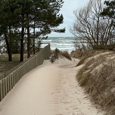 In The Dunes *