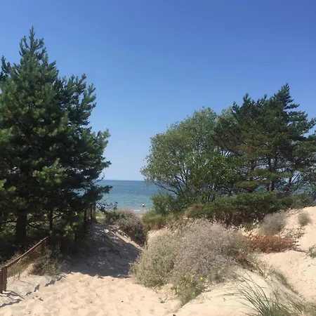 In The Dunes * Паланга